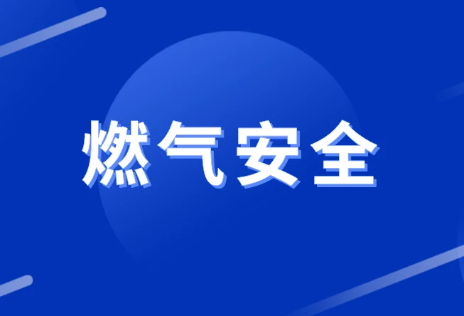 安徽省巢湖市市场监管局开展液化气站等重点行业领域燃气报警器计量检定